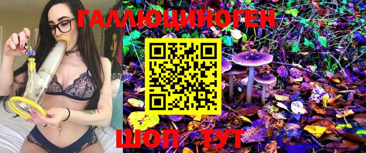Галлюциногенные грибы Psilocybine cubensis Десногорск